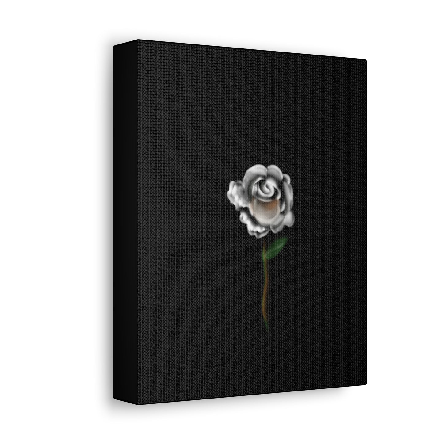 White rose on Stretched Canvas - Debital Design