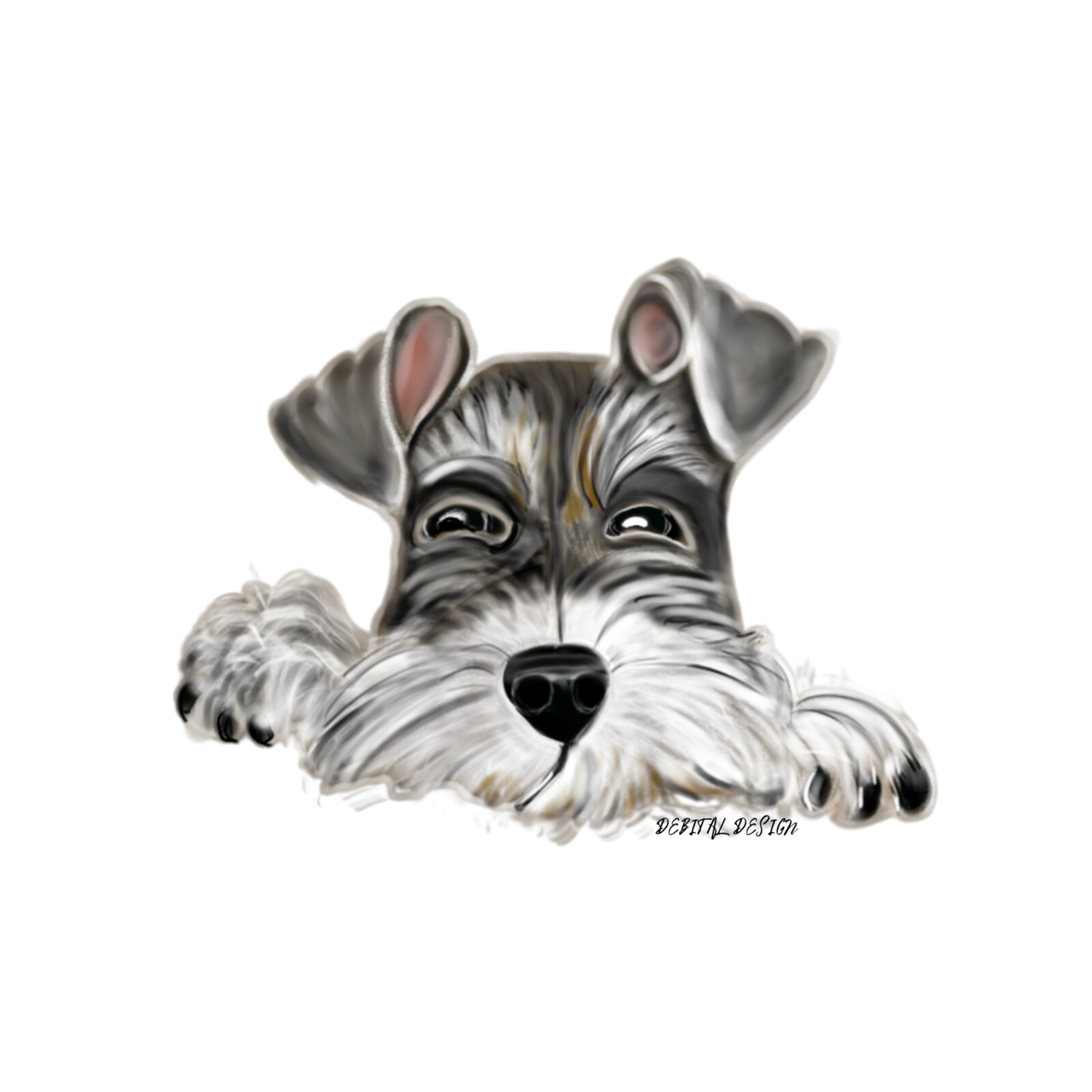 Schnauzers, grey and white