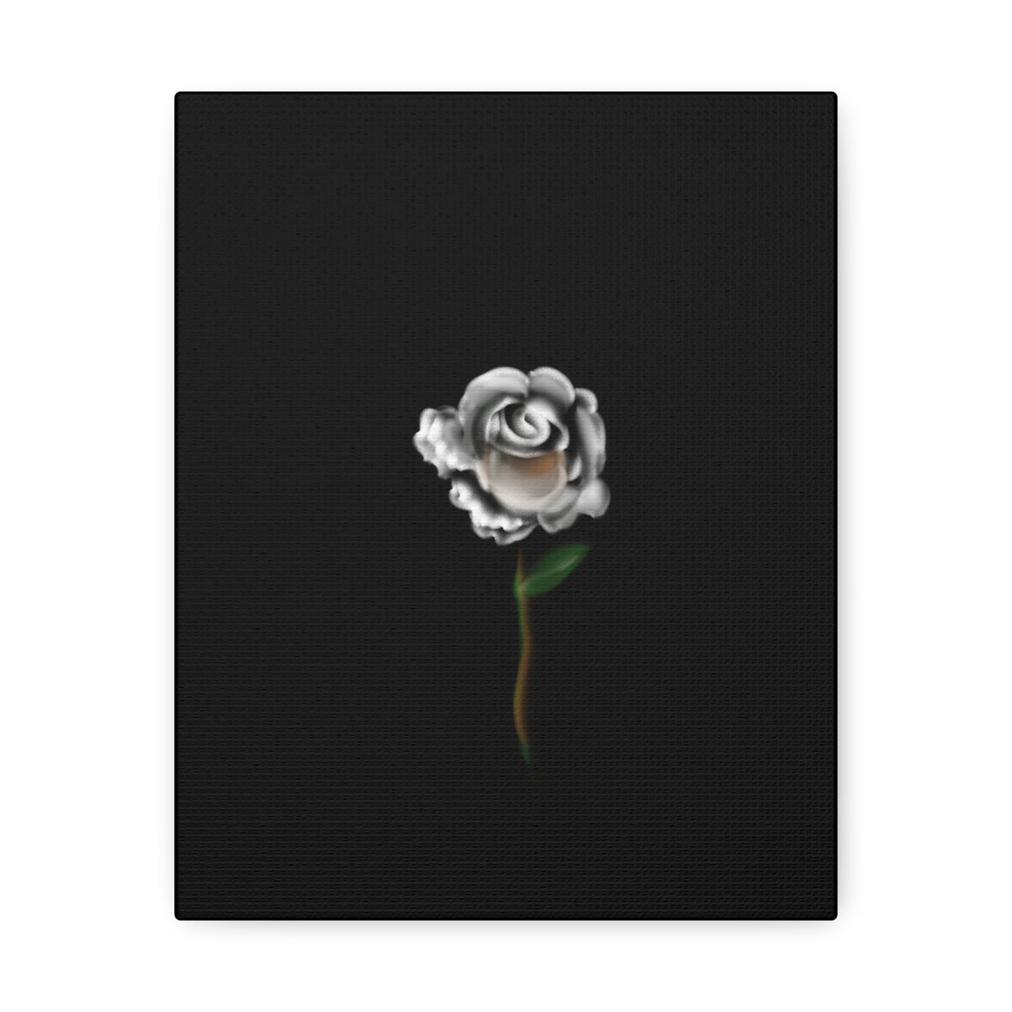 White rose on Stretched Canvas - Debital Design 
