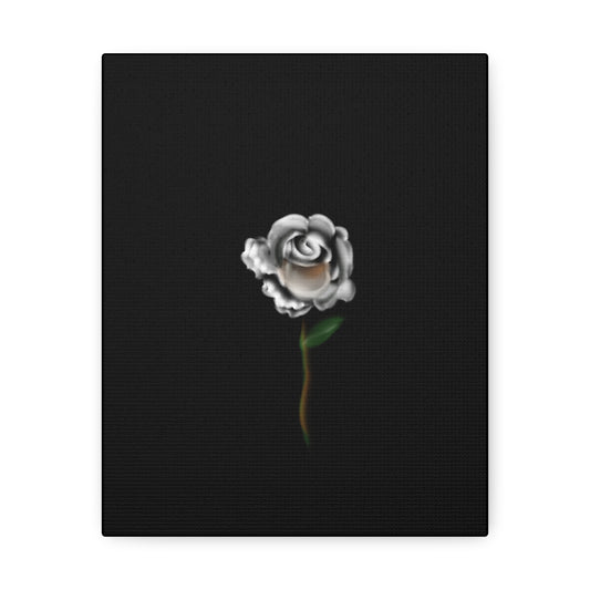 White rose on Stretched Canvas - Debital Design 