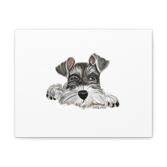 8 x 10  Schnauzer Canvas Gallery Wraps - Debital Design 