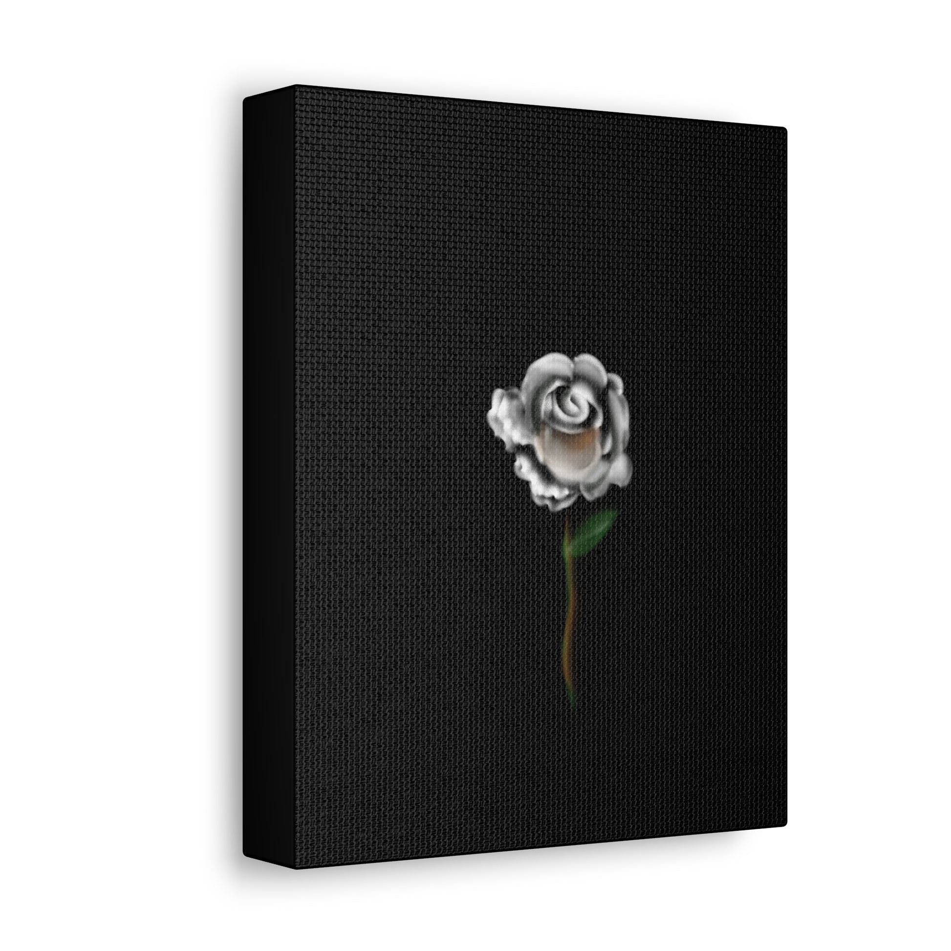 White rose on Stretched Canvas - Debital Design 