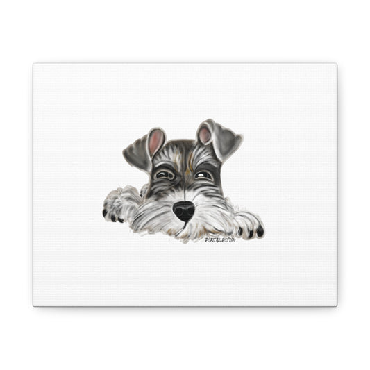 8 x 10  Schnauzer Canvas Gallery Wraps - Debital Design 