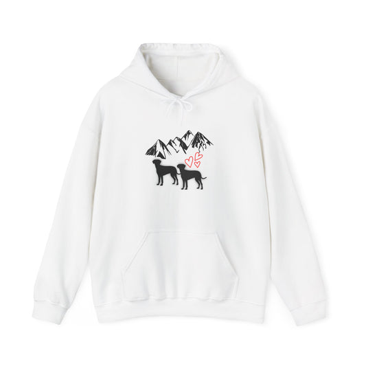 Unisex Heavy Blend™ Hooded Sweatshirt - Debital Design 