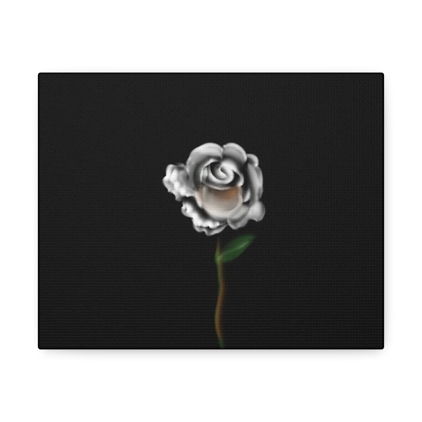 White rose on Stretched Canvas - Debital Design 