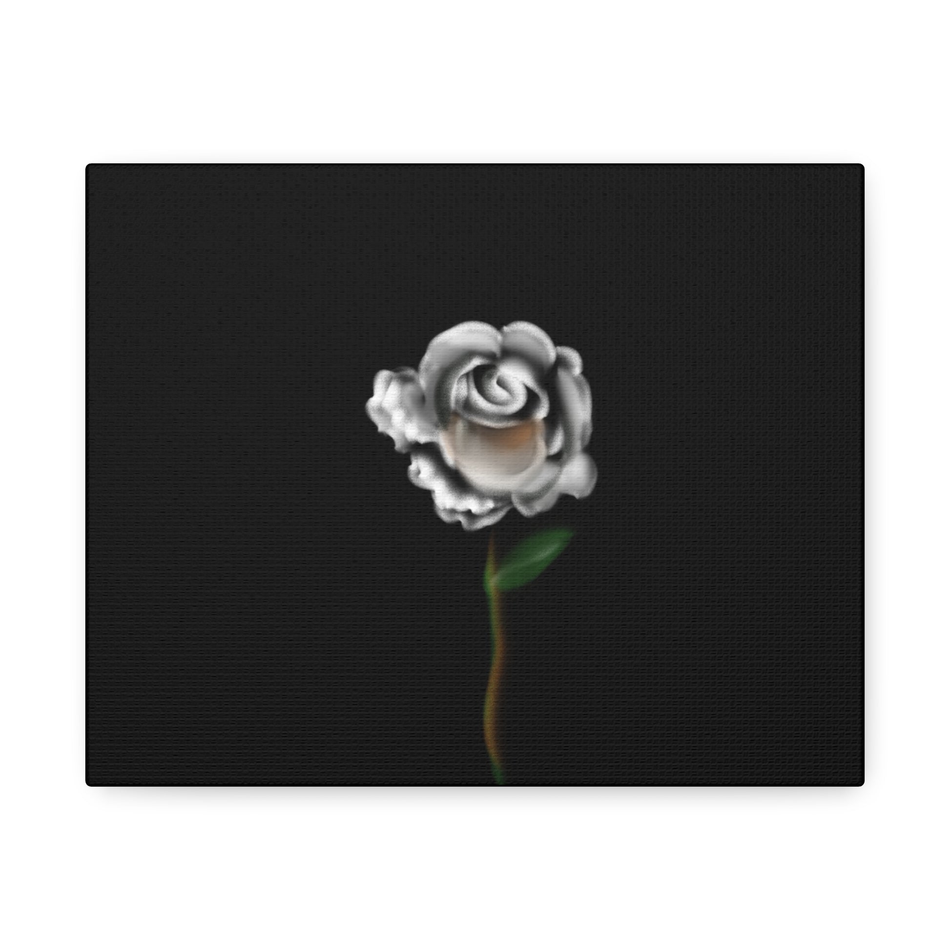 White rose on Stretched Canvas - Debital Design 