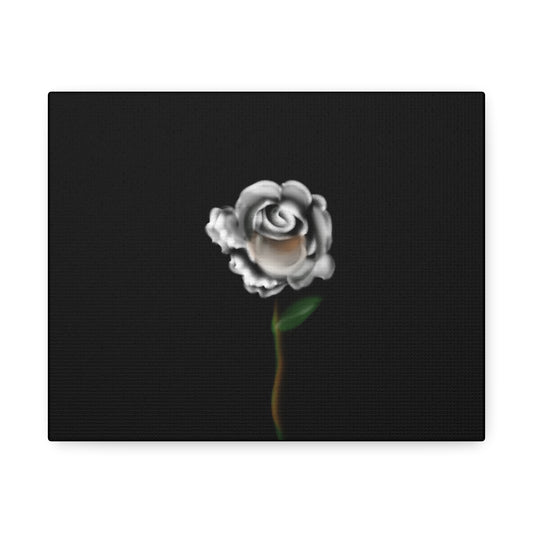 White rose on Stretched Canvas - Debital Design 