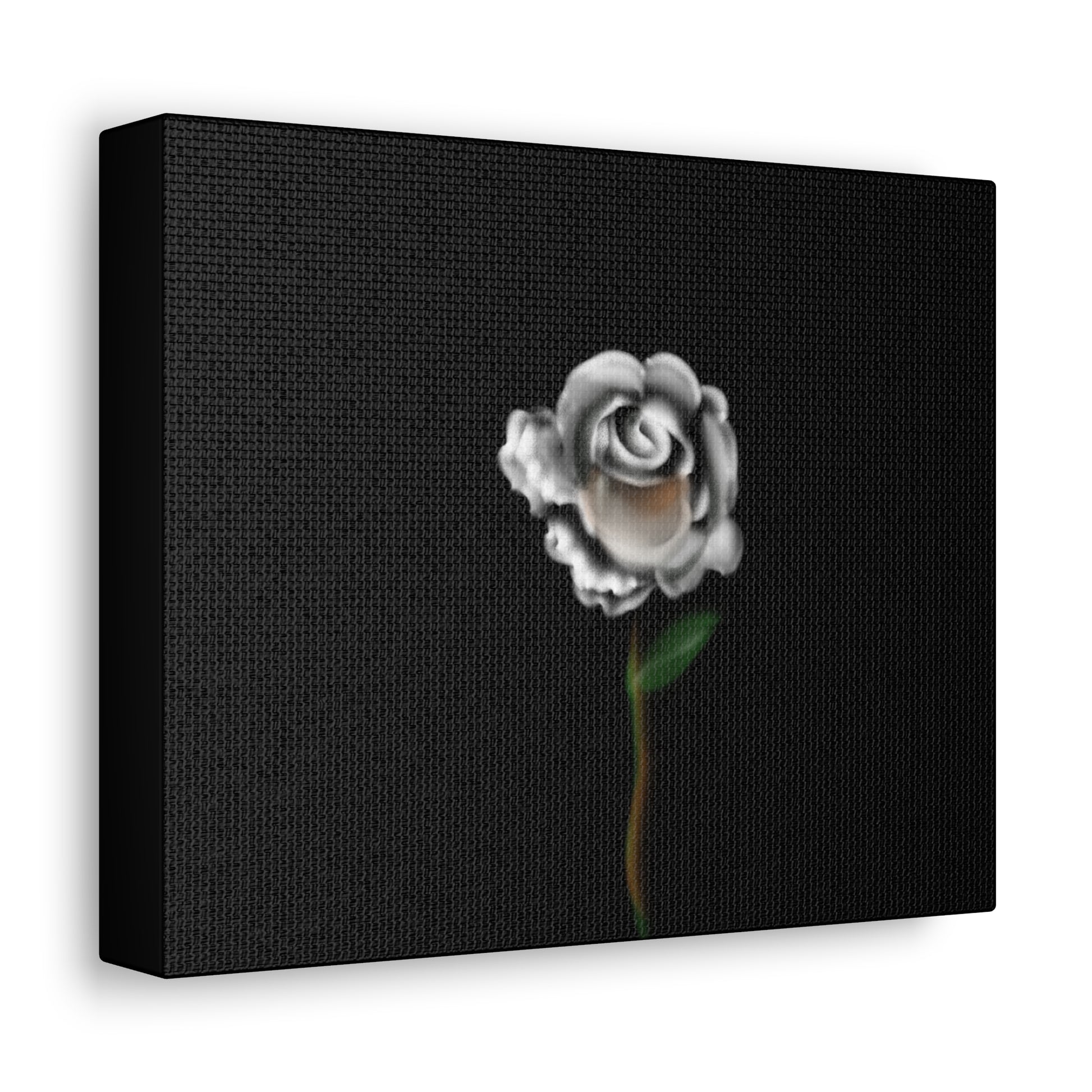 White rose on Stretched Canvas - Debital Design 