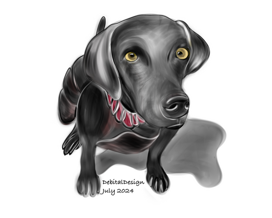 Bella who is a Weimaraner! - Debital Design 